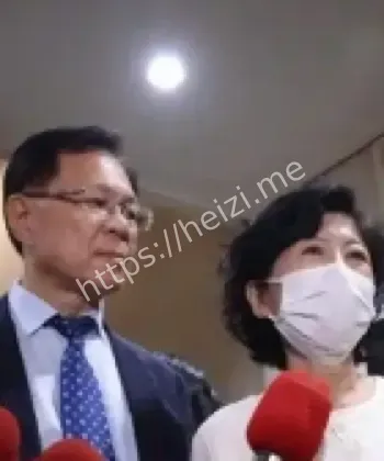 陈佩琪筹款差2000万